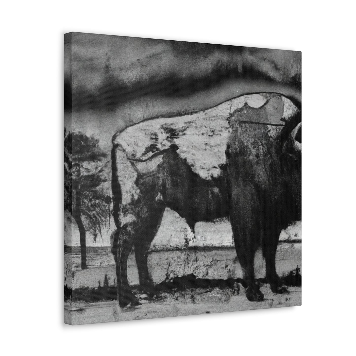 Bison on the Prairie - Canvas