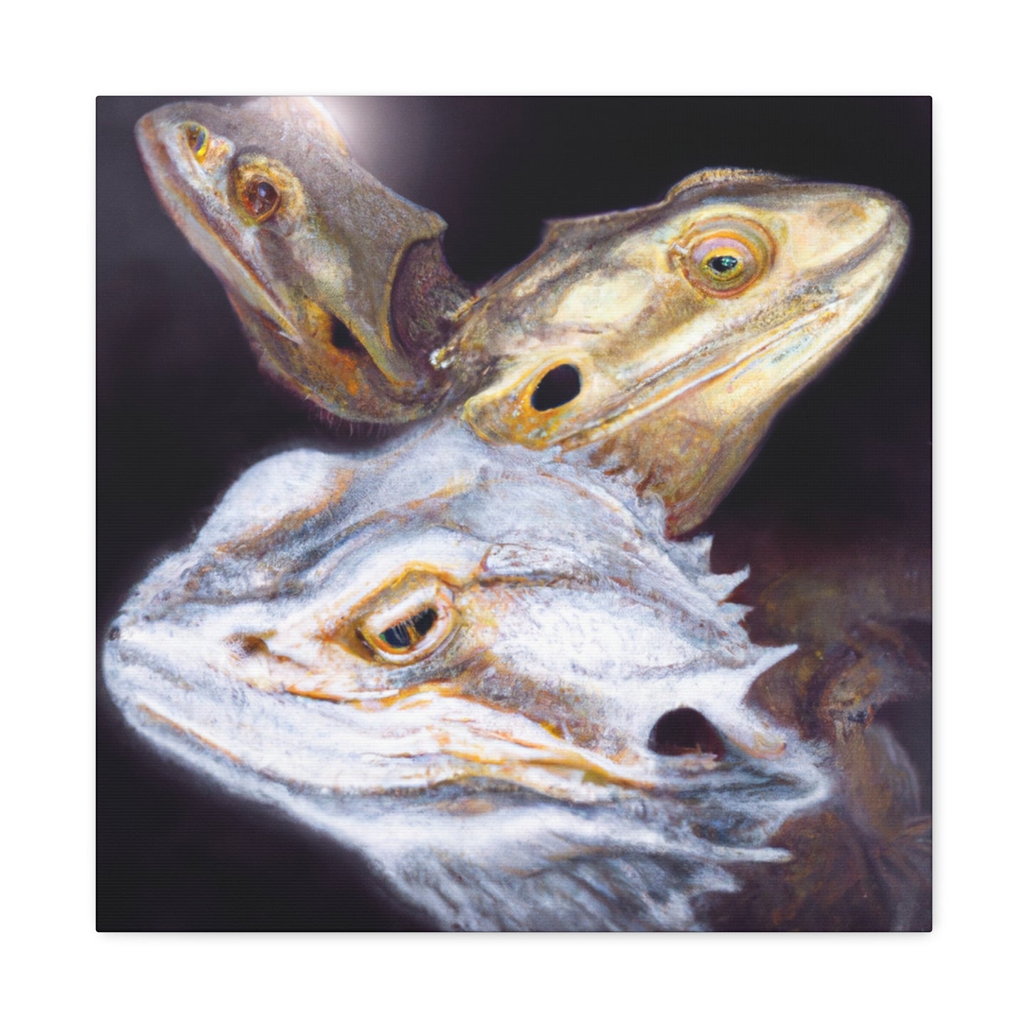 Bearded Dragon Beauty - Canvas