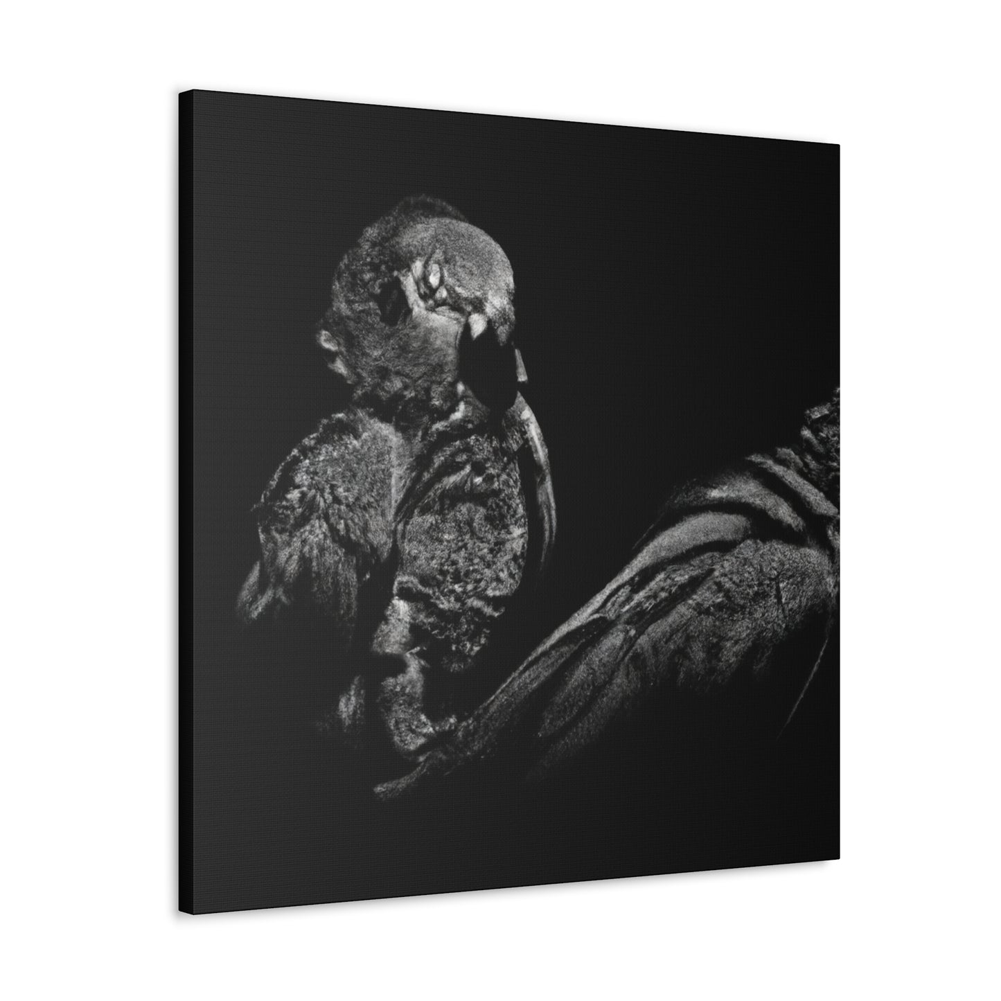 Pionus in Elegance. - Canvas