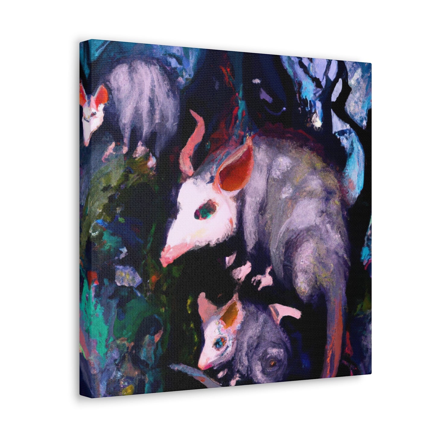 Opossum Reflection Dreaming - Canvas