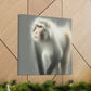 "Majestic Japanese Macaque" - Canvas