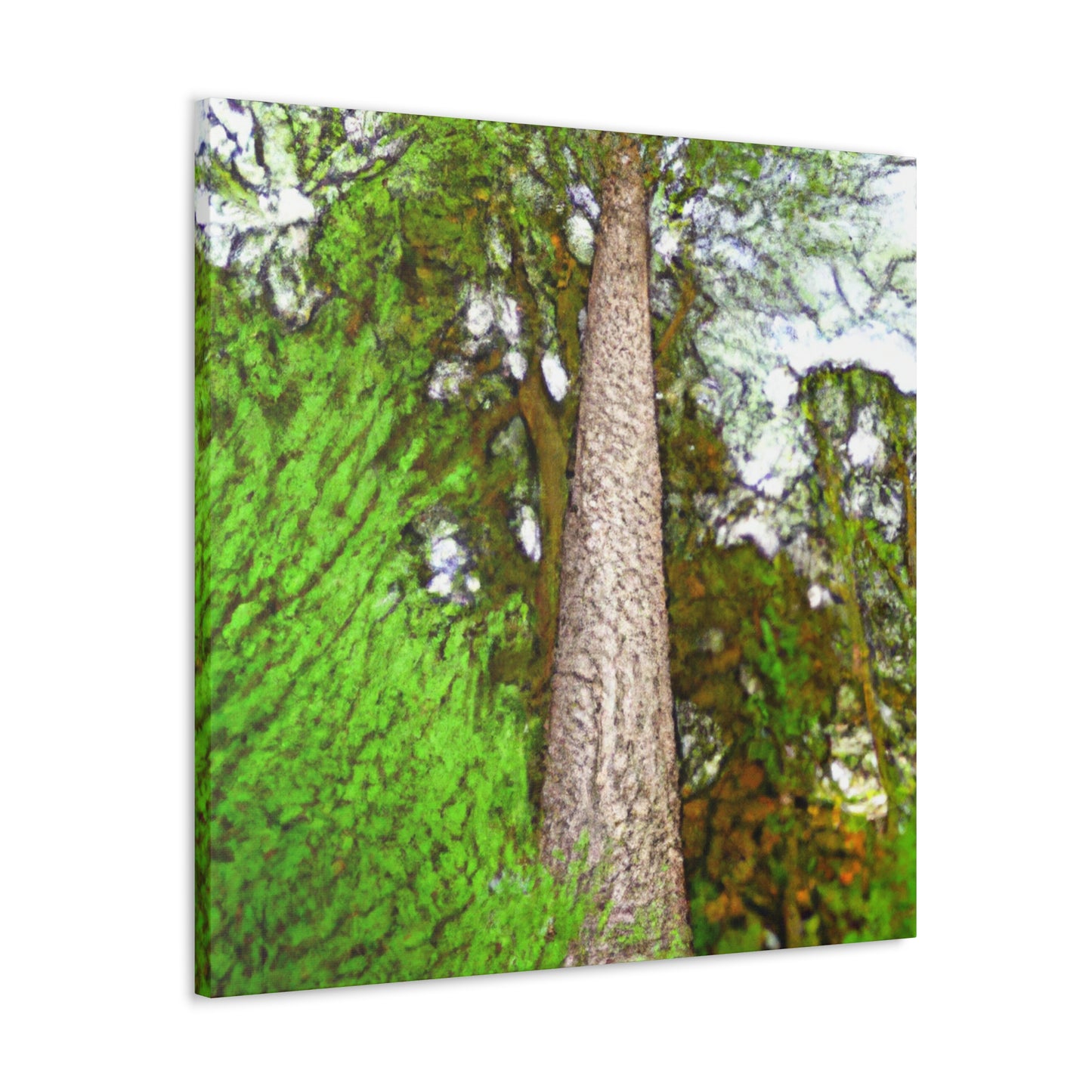 "Redwoods at Dusk" - Canvas