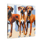 Rhodesian Ridgeback Reflection - Canvas