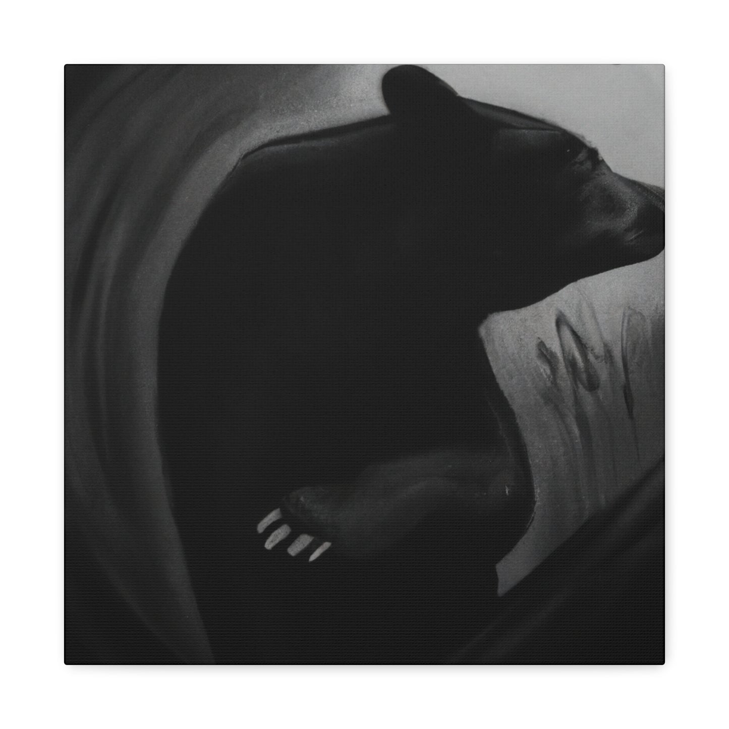 "Asiatic Black Bear Dreaming" - Canvas