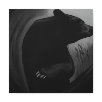 "Asiatic Black Bear Dreaming" - Canvas