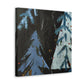 Spruce in Bloom - Canvas