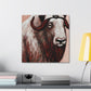 Musk Ox Splendor. - Canvas