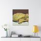 "Gorgeous Russian Tortoise" - Canvas