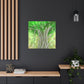 Banyan Tree Illusionist - Canvas