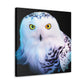 Snowy Owl Majesty - Canvas