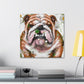 English Bulldog Bliss - Canvas