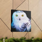 Snowy Owl Majesty - Canvas