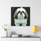 "Joyful Shih Tzu Play" - Canvas