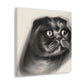 Scottish Fold Innocence - Canvas