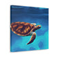 "Blue Sea Turtle MTN" - Canvas