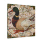 "Mallard Duck Splendor" - Canvas