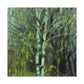 Birch Tree Impressionism - Canvas