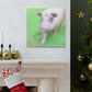 Pig With Pink Skin - Canvas