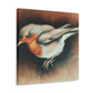 American Robin Reflection - Canvas