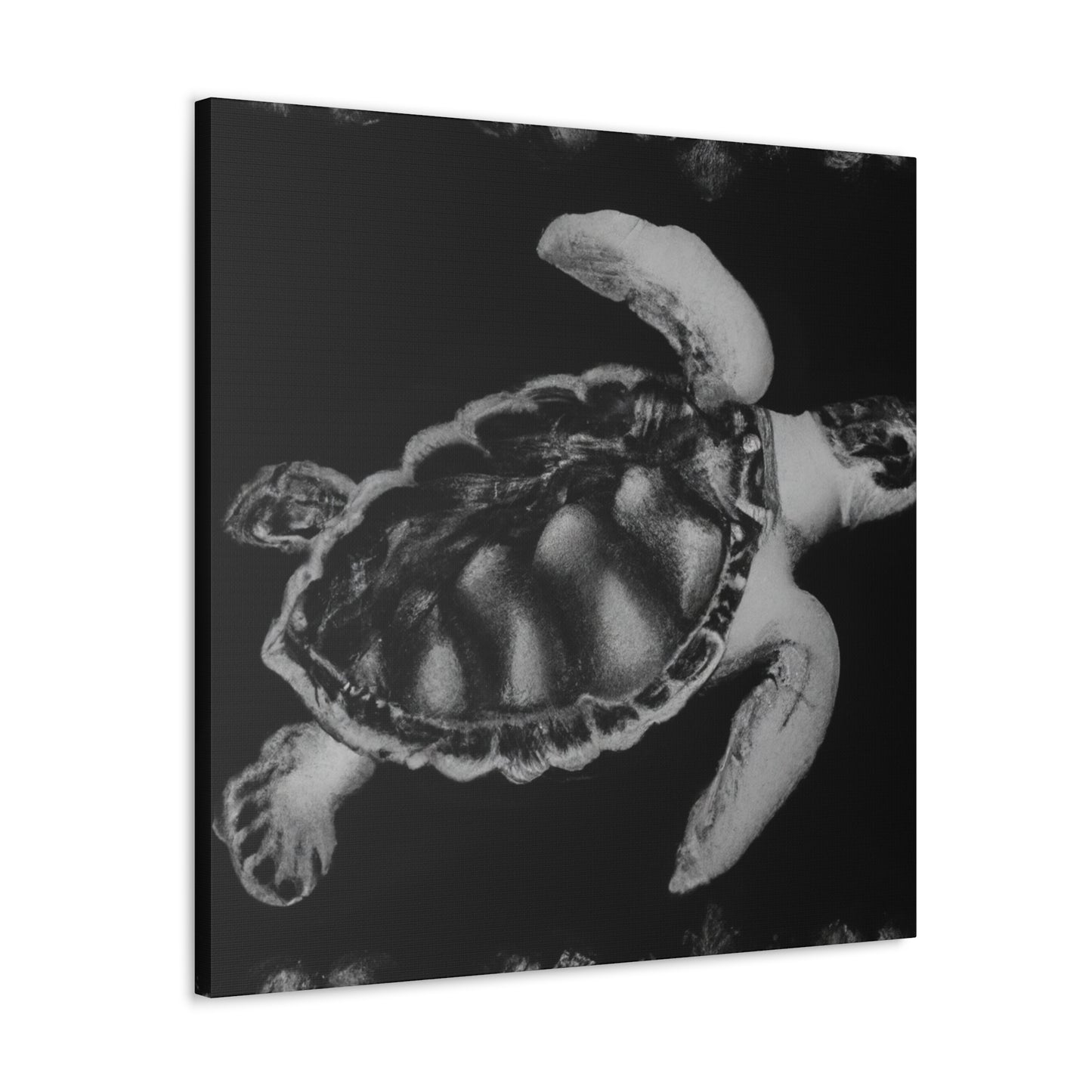 "Sea Turtle Reflection" - Canvas