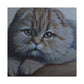 Scottish Folds Purrfection - Canvas