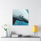 Bowhead Whale Majesty - Canvas