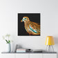 Mourning Dove in Flight - Canvas