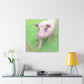 Pig With Pink Skin - Canvas