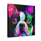 Adorable Boston Terrier - Canvas