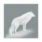 Arctic Wolf Splendor - Canvas