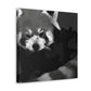 Red Panda Expressionism - Canvas