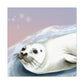 Harp Seal in Art Deco - Canvas