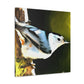 "White Breasted Nuthatch" - Canvas