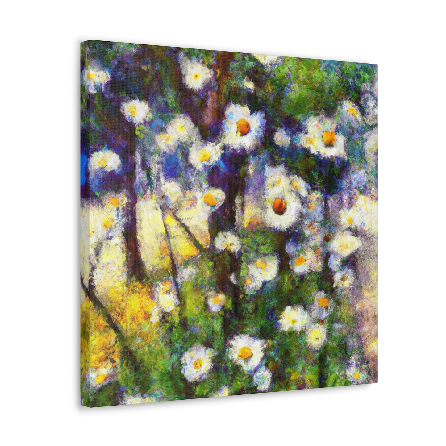 Daisy in Splendour. - Canvas