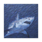 Great White Shark Apart - Canvas