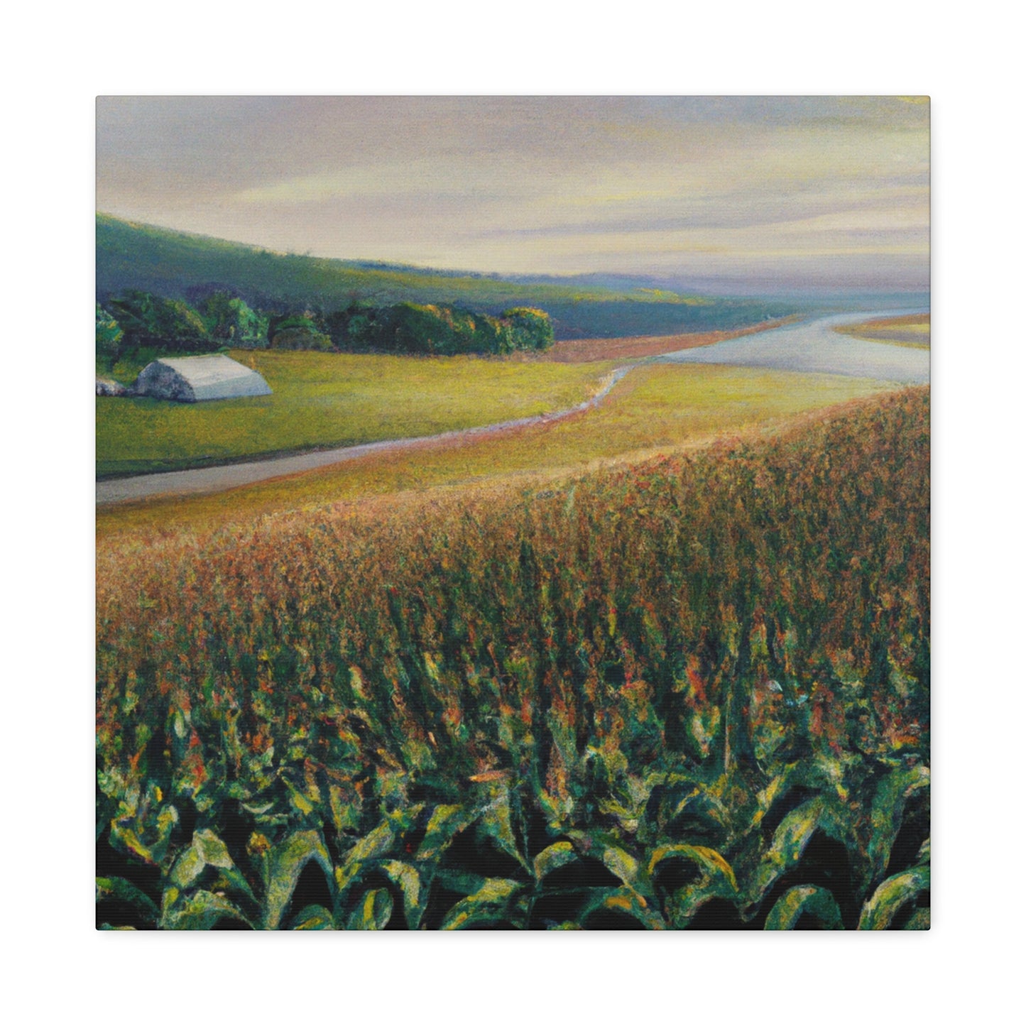 "Corn Field Splendor" - Canvas