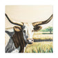 Texas Longhorns Reigning - Canvas