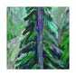 Douglas Fir Resilience - Canvas