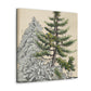 "Pine Tree Immortality" - Canvas