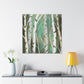 Birch in Winter Solace - Canvas