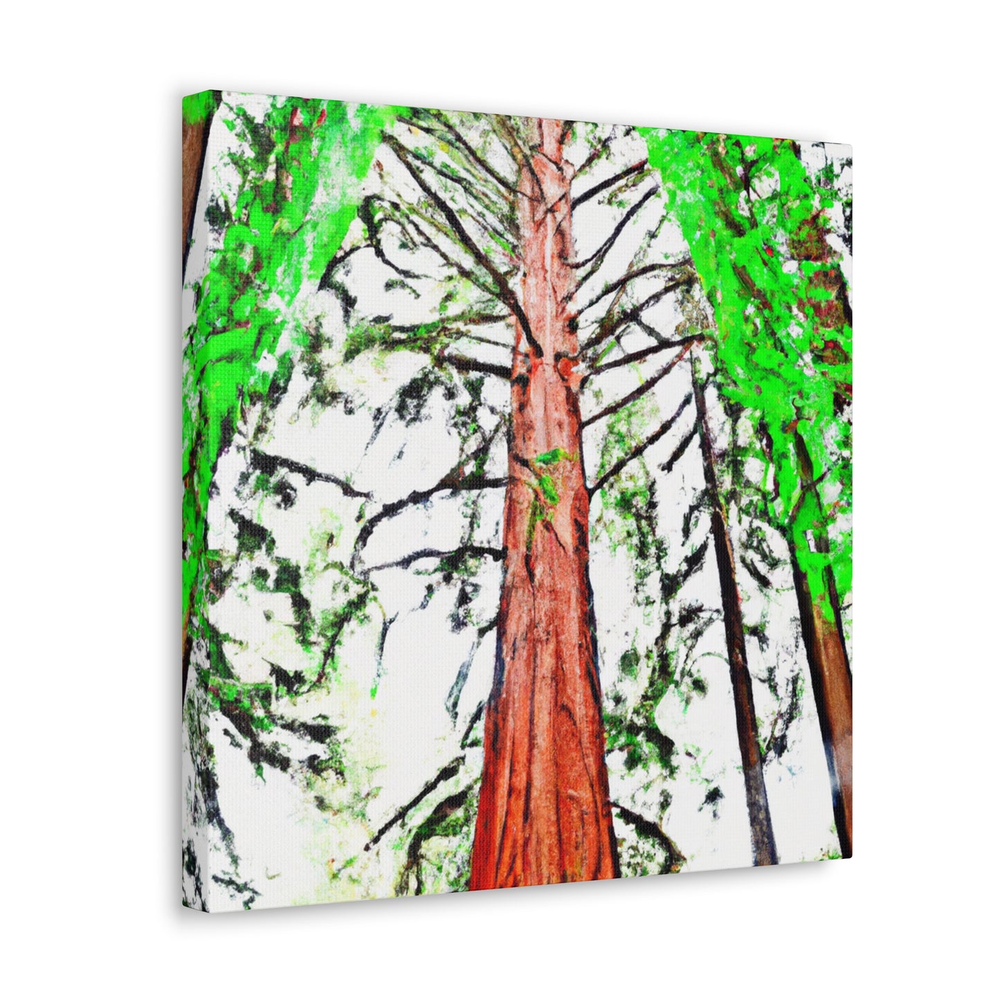 Redwood's Dreamscape - Canvas