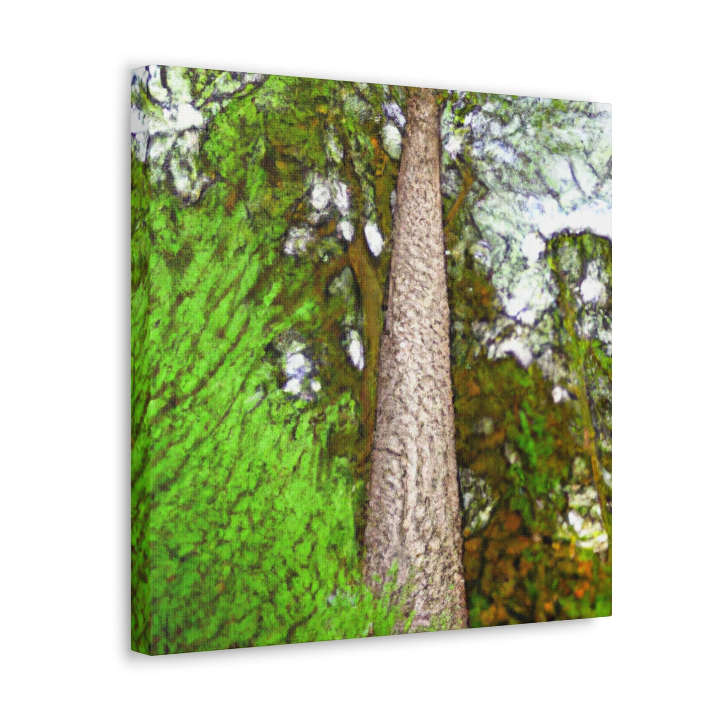 "Redwoods at Dusk" - Canvas