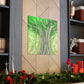 Banyan Tree Illusionist - Canvas