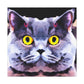 "Cute British Shorthair" - Canvas