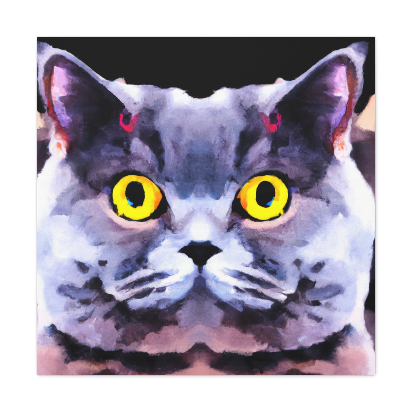 "Cute British Shorthair" - Canvas