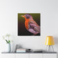 "American Robin in Oil" - Canvas