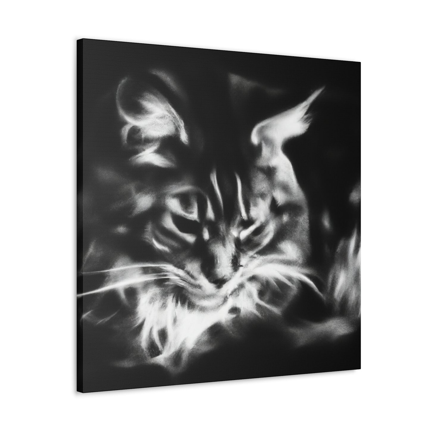 Maine Coon Expressionism - Canvas