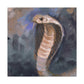 King Cobra Regality - Canvas