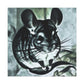 Chinchilla Abstractionist Dream - Canvas