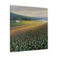 "Corn Field Splendor" - Canvas